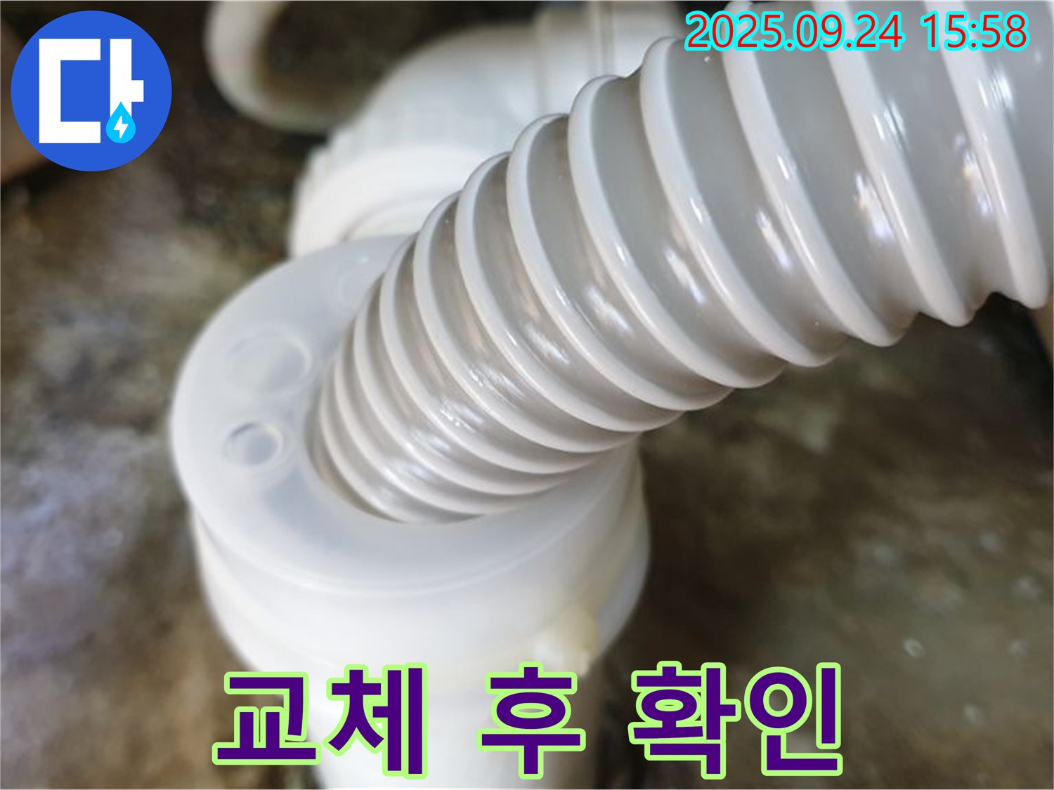월계3동 싱크대 누수 - 새 배수 호스 교체 후 꼼꼼하게 점검하여 누수 재발 가능성을 최소화했습니다.