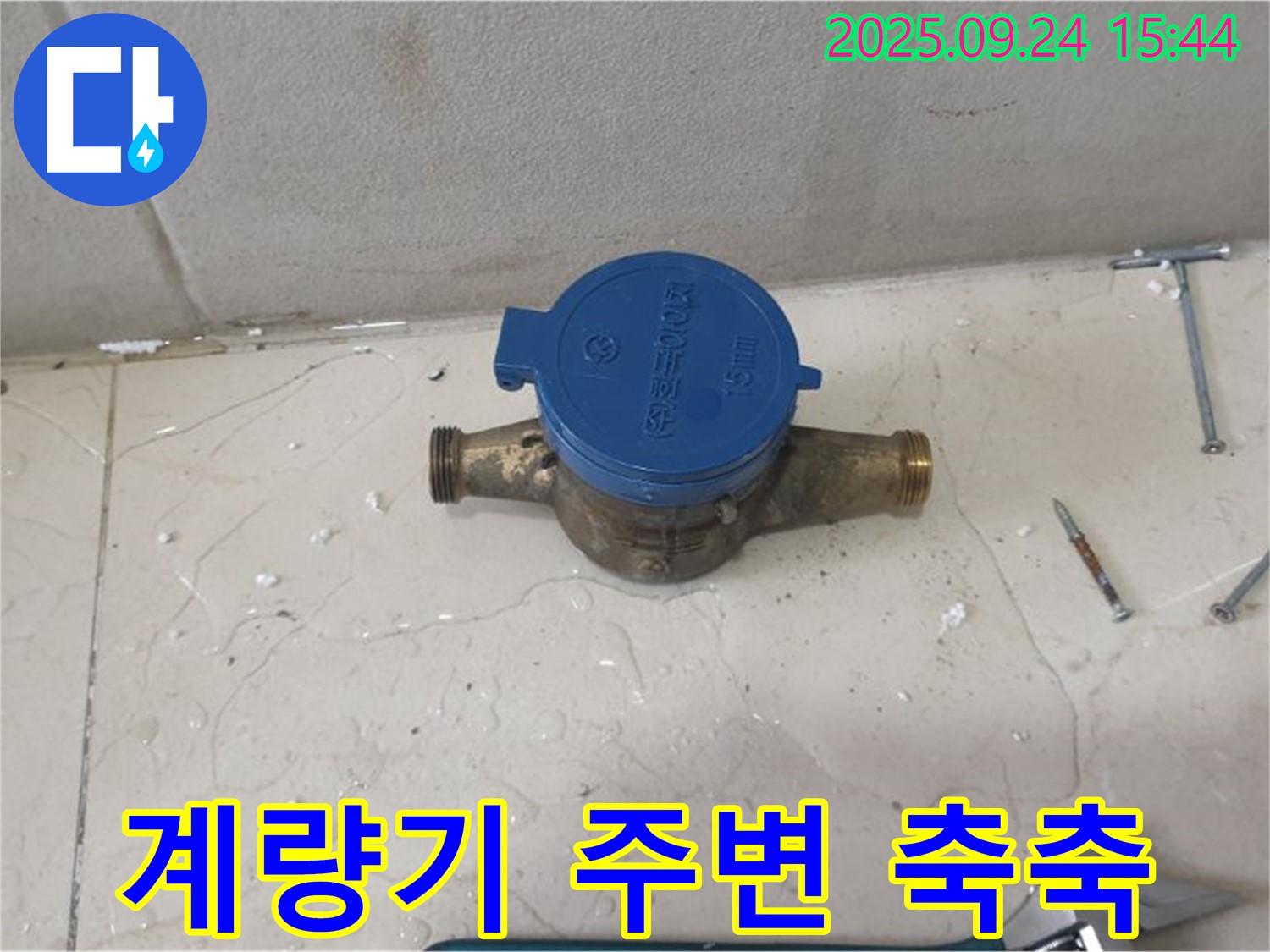 노원구 공릉동에서 계량기 주변이 축축한 모습 - 누수 가능성을 의심하고 꼼꼼하게 점검해야 합니다.