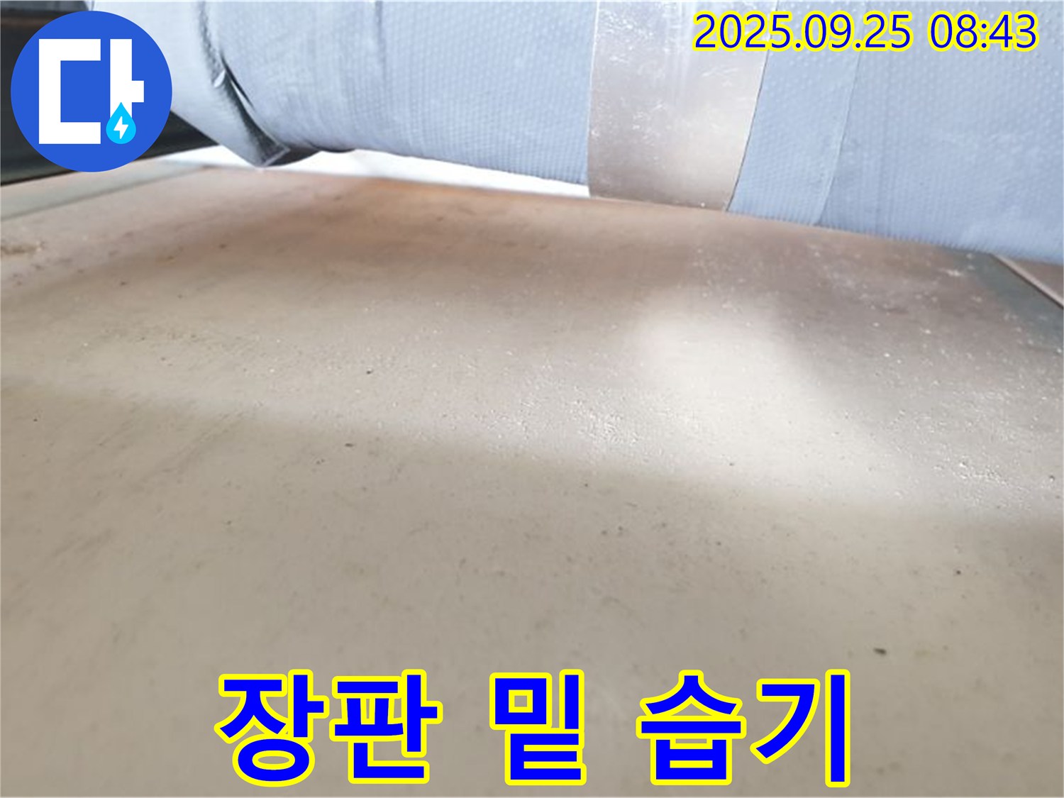 광적면 누수 현장 - 장판 밑의 습기와 곰팡이를 확인하여 누수 여부를 판단합니다.