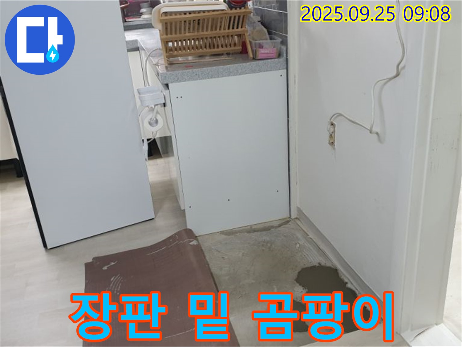 백석읍 누수 현장 - 장판 밑에 물이 고여 곰팡이가 발생하기 시작했습니다.