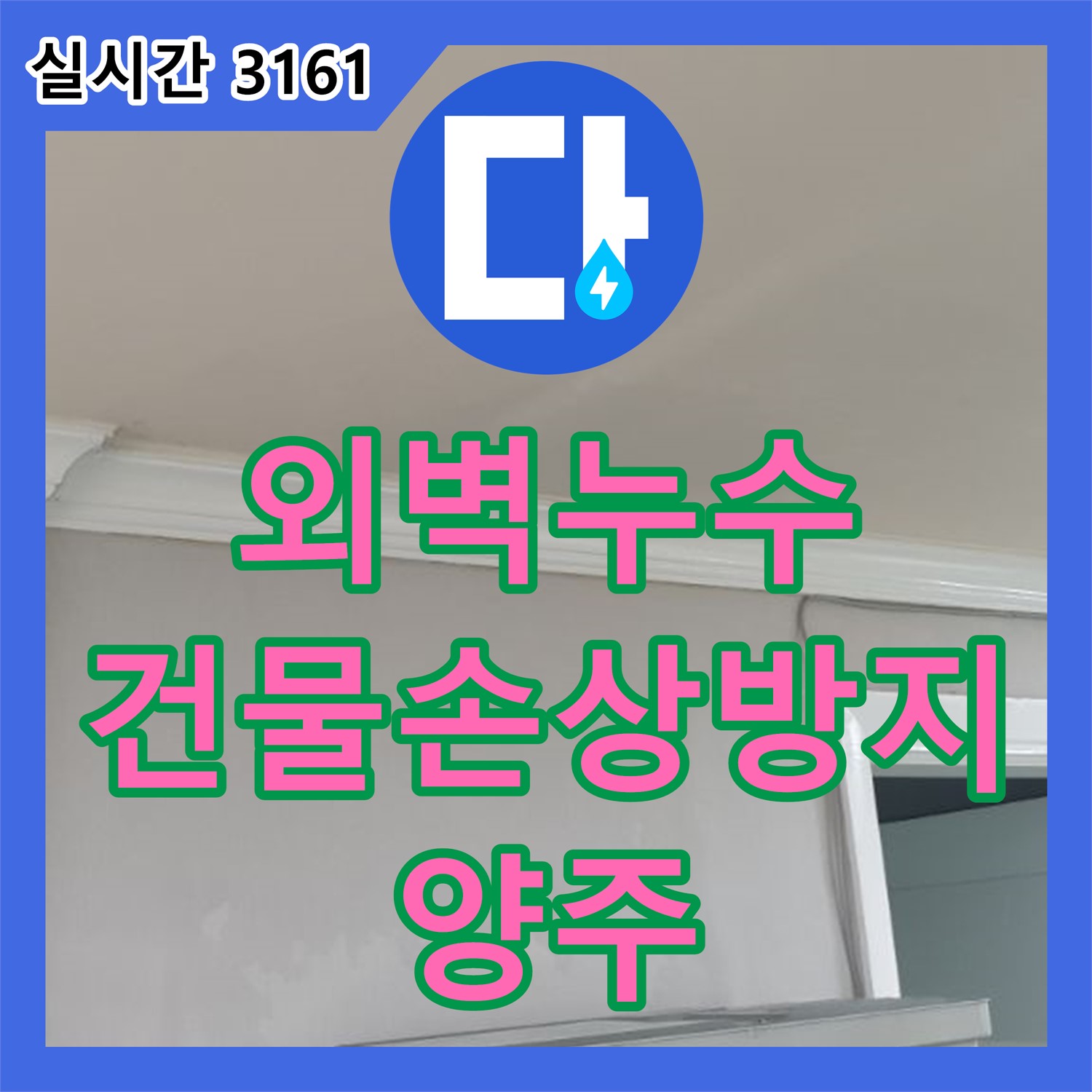 양주 백석 누수탐지전문, 외벽 누수, 건물 손상 막는 확실한 해결책 제시