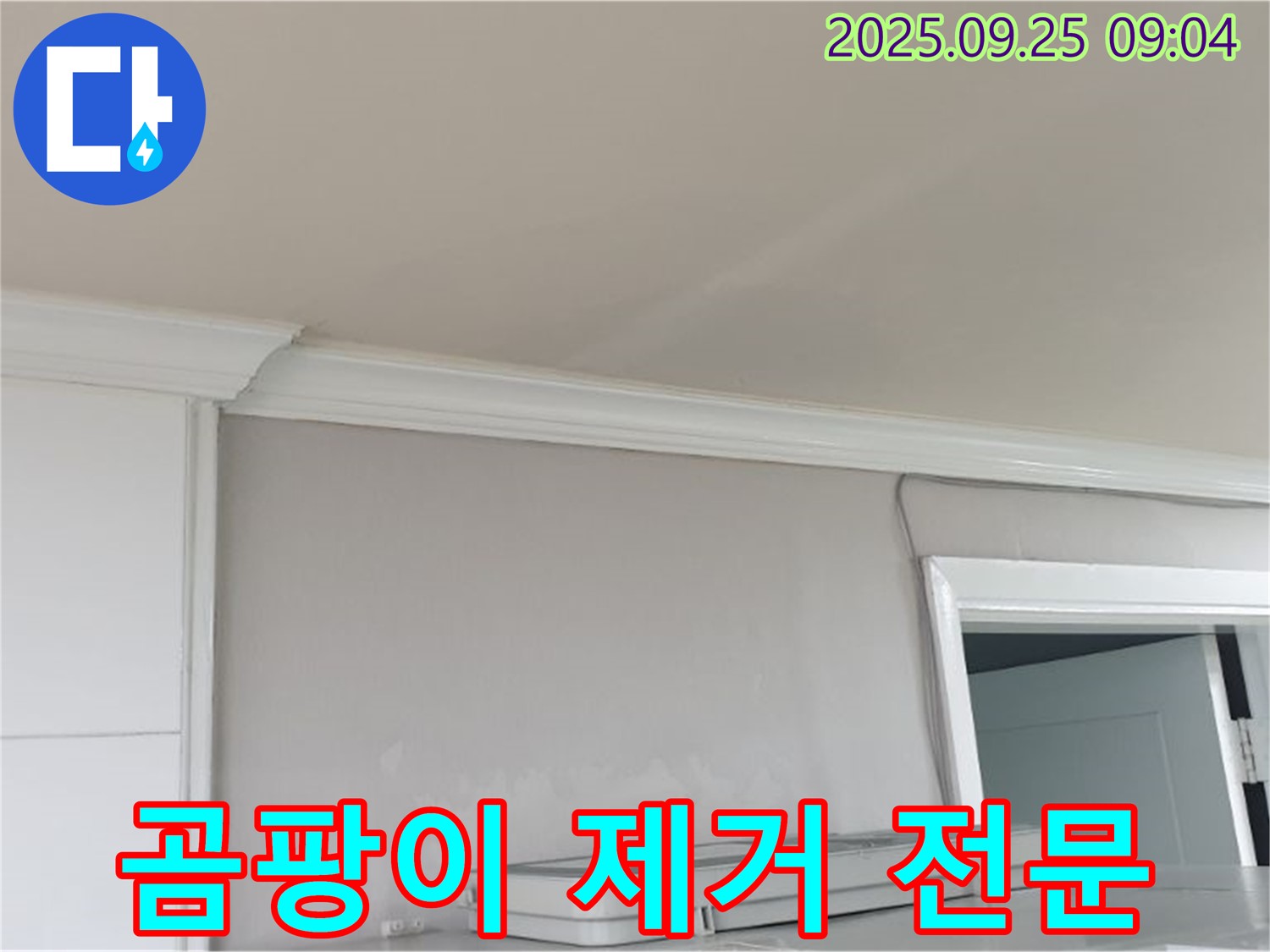 양주 백석읍 - 곰팡이 핀 벽지, 곰팡이 제거 전문 업체에서 확실하게 해결하세요.