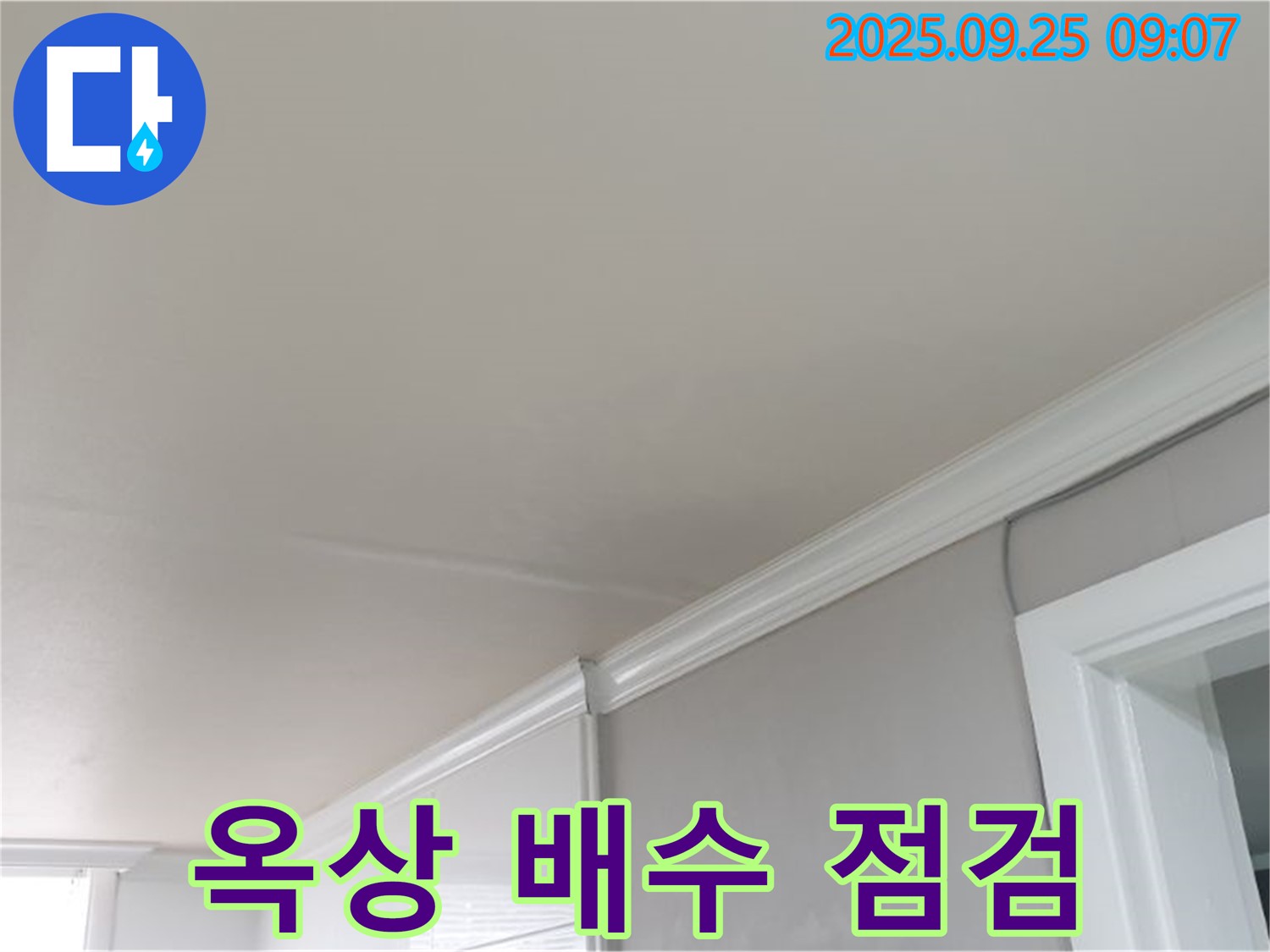 양주 연곡리 건물 천장 누수 해결 - 건물 옥상 배수 상태를 꼼꼼하게 점검하여 누수 원인을 파악합니다.