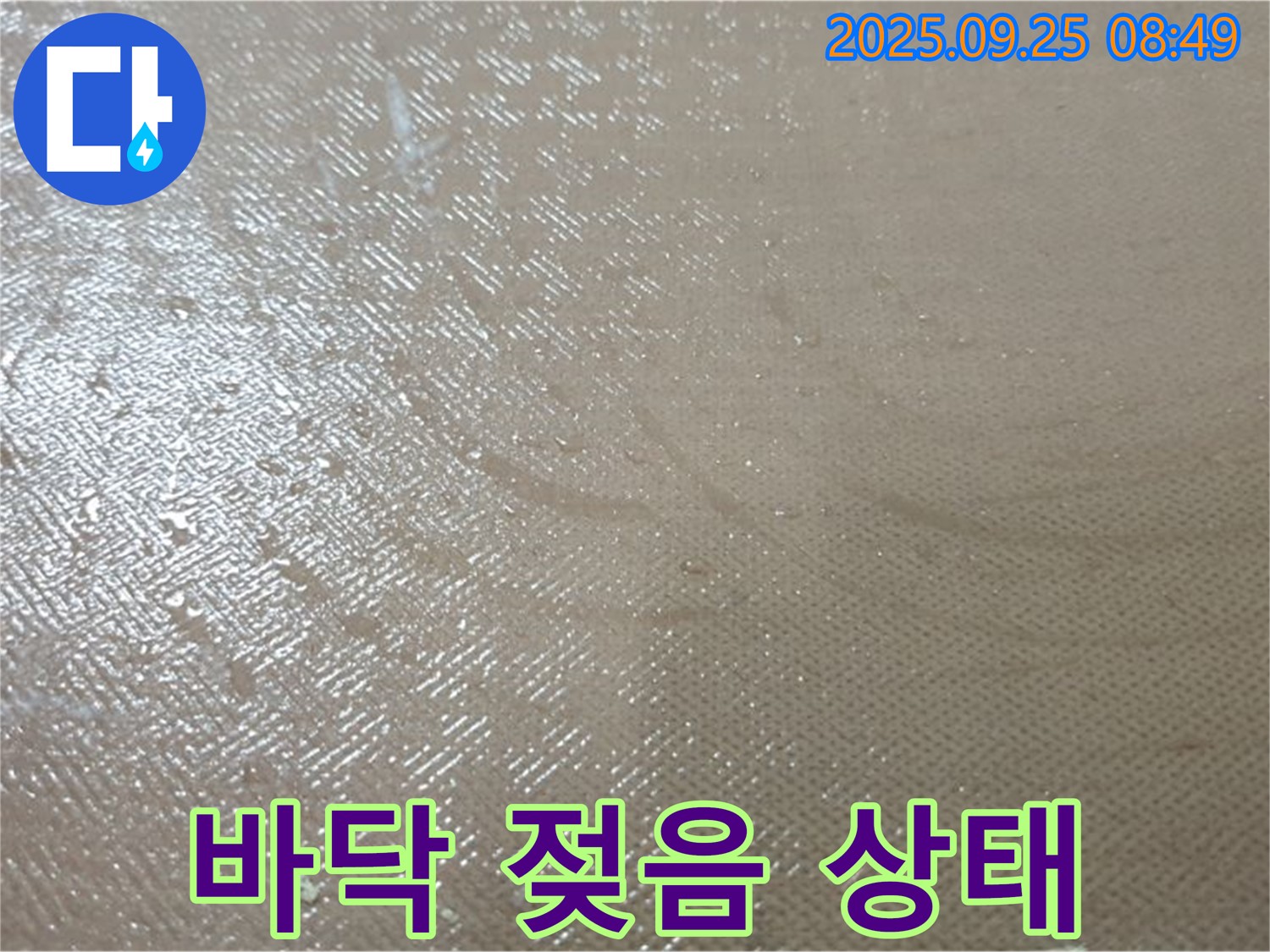 양주시 백석읍 연곡리 누수 - 바닥 젖음 상태, 누수 걱정 없이 편안한 생활을 누리세요!