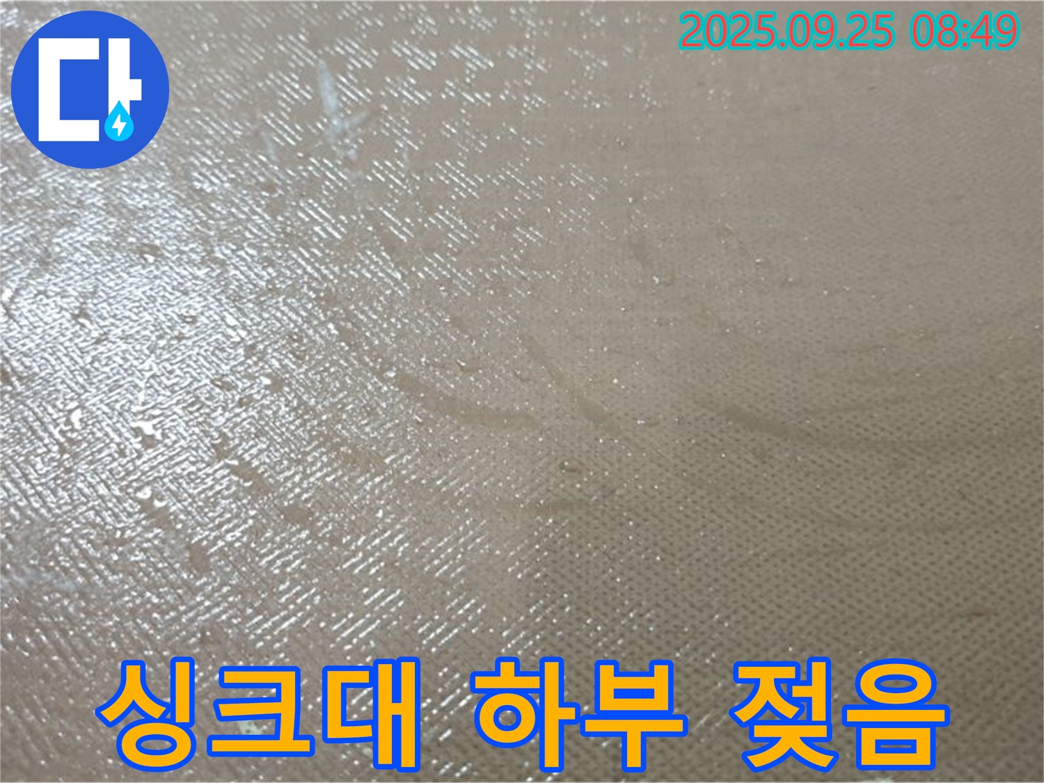 양주시 백석읍 연곡리 누수 - 싱크대 하부 젖음, 싱크대 하부 누수는 곰팡이 발생의 원인이 됩니다.