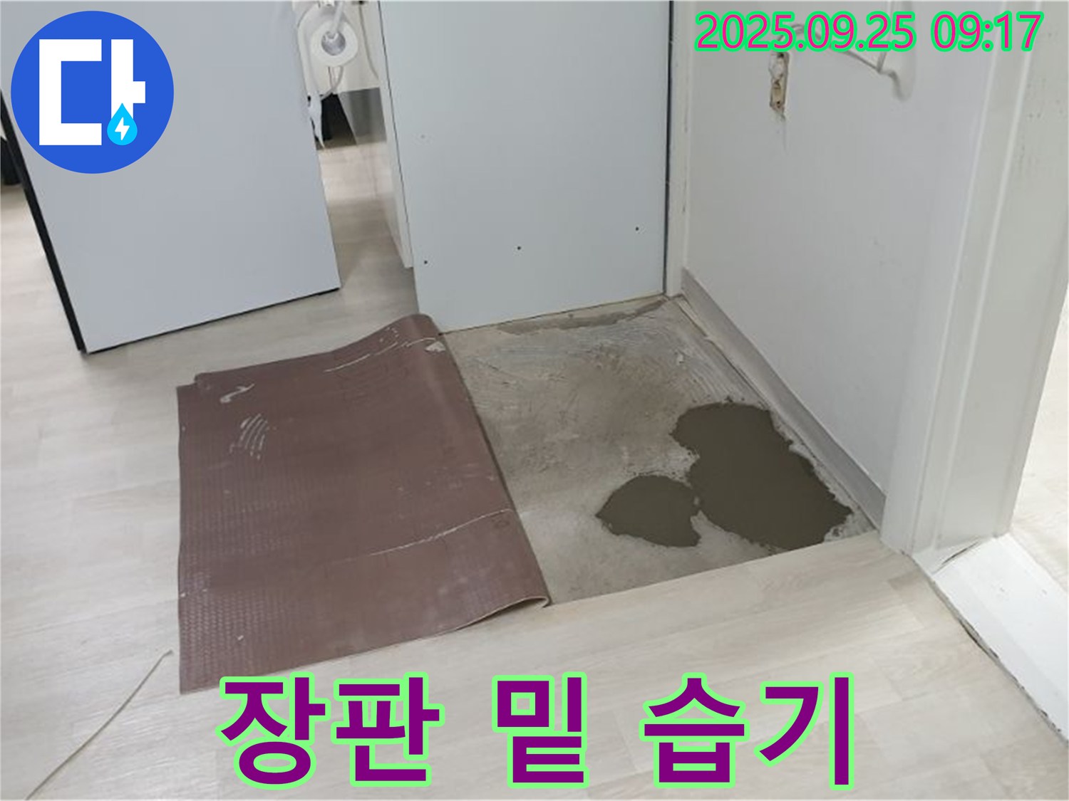 양주시 백석읍 연곡리 누수 - 장판 아래 습기로 인한 누수 흔적