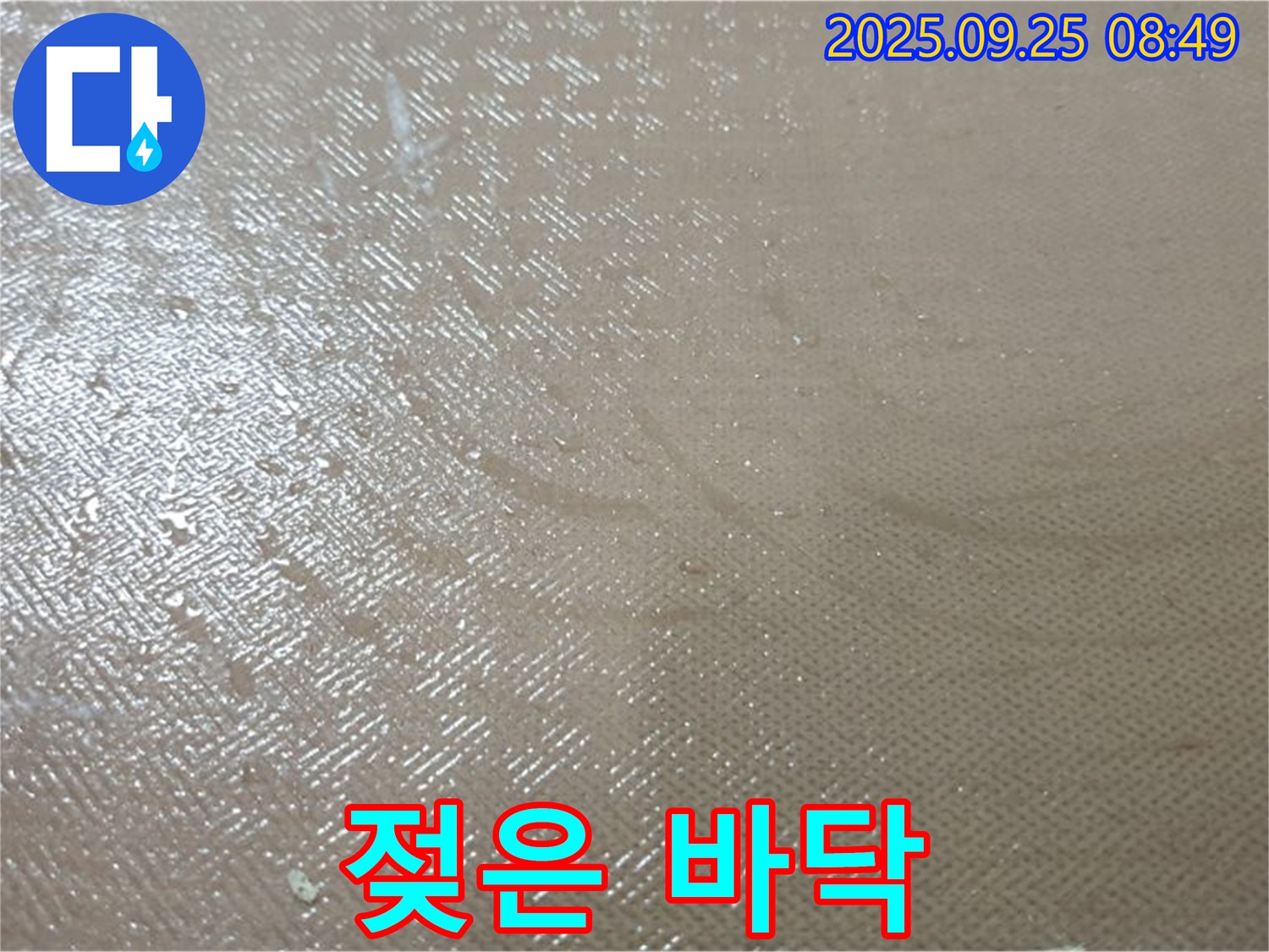 양주시 백석읍 연곡리 누수 - 젖은 바닥, 24시간 긴급 방문 서비스를 제공합니다.