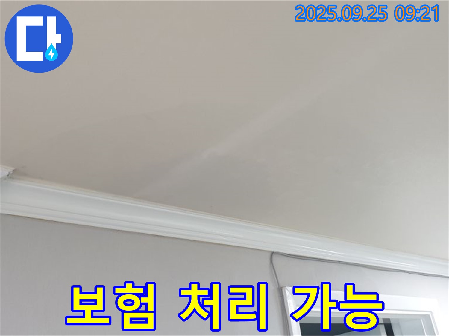 양주시 백석읍 연곡리 - 윗집 누수 피해, 우리 집 보험으로 처리할 수 있을까요?