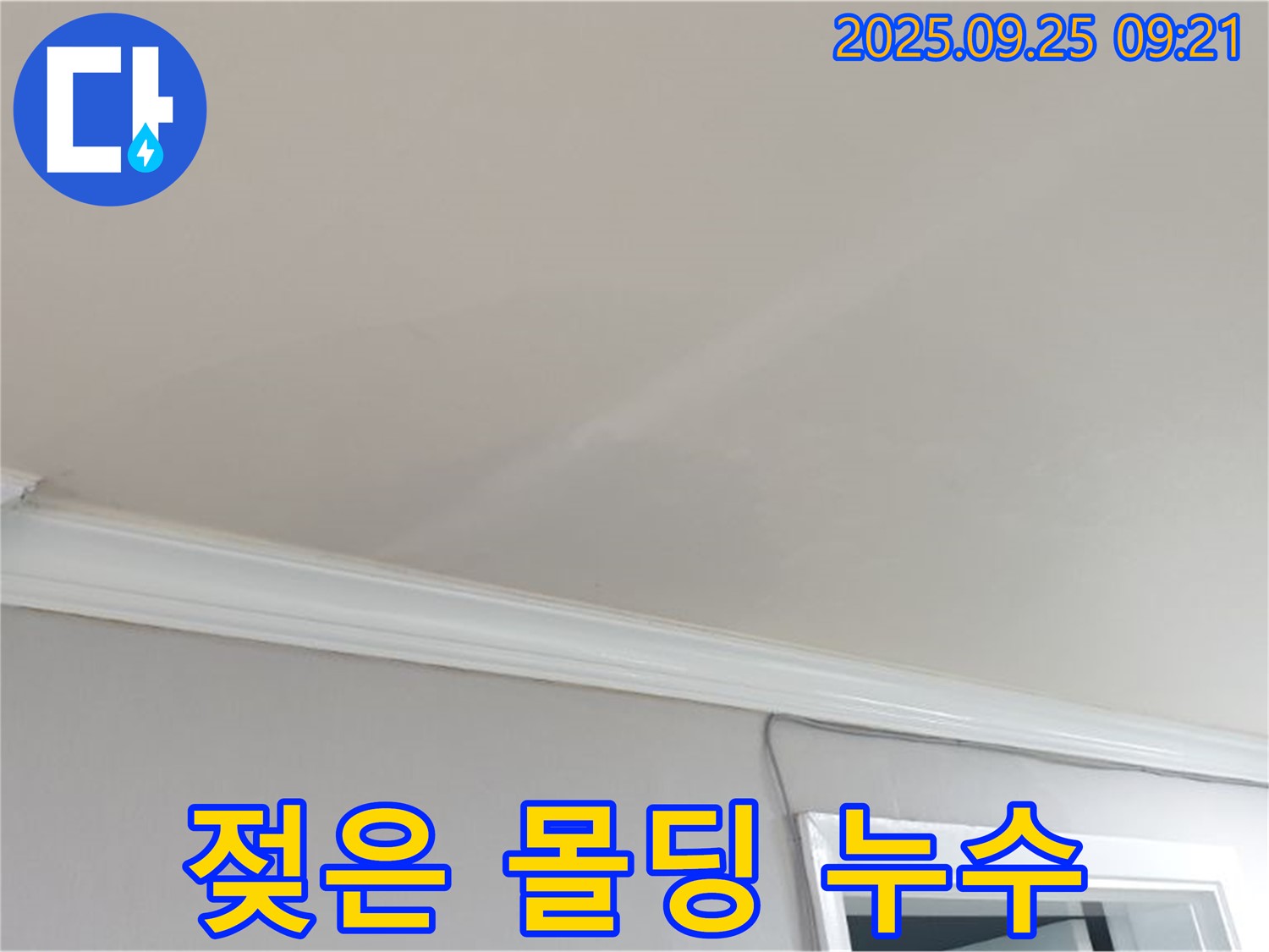 양주시 백석읍 연곡리 젖은 몰딩 - 천장 누수의 초기 증상일 수 있습니다.