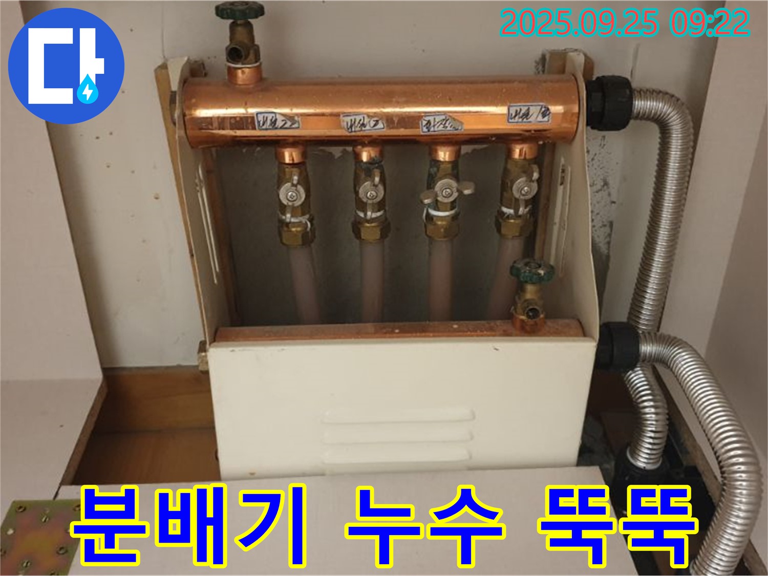 양주시 백석읍 홍죽리 - 분배기에서 물이 뚝뚝 떨어지는 누수 현장, 신속하게 방문하여 해결했습니다.