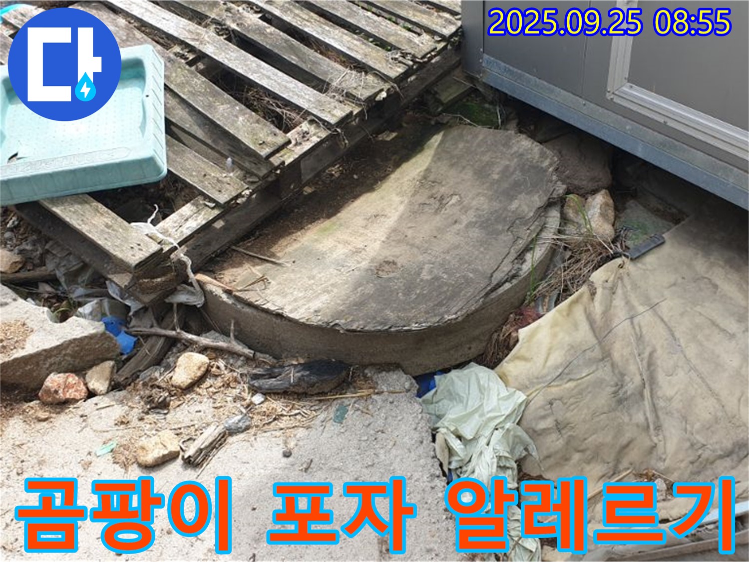 양주시 백석읍 복지리 누수 - 폐자재 속 곰팡이 포자