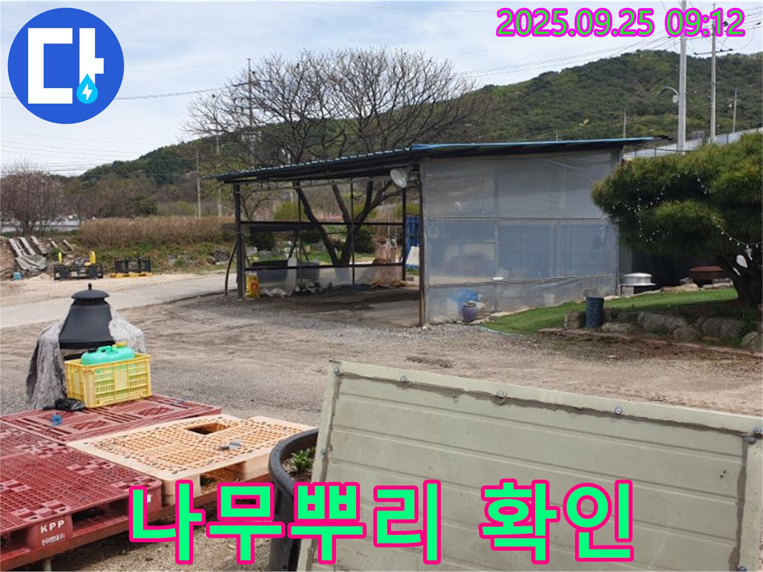 양주시 백석읍 복지리 누수 현장에서 간이 창고 주변의 나무뿌리 침범 여부를 확인하는 모습 - 나무뿌리는 건물의 적!
