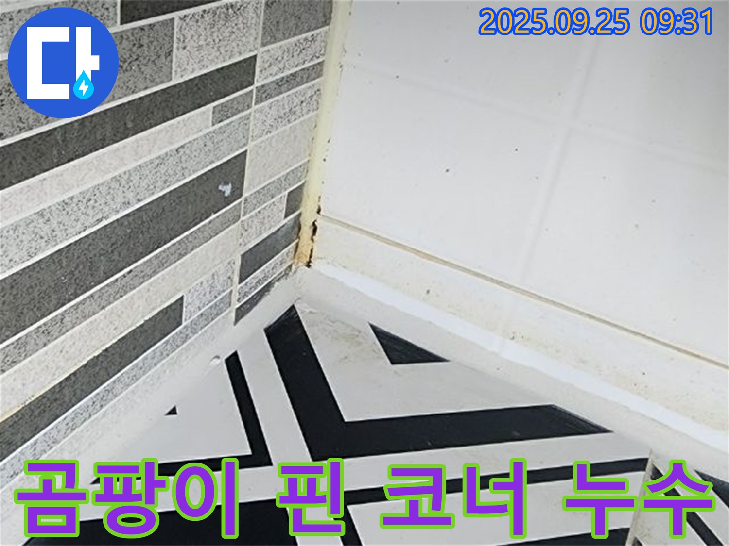양주시 백석읍 오산리 - 곰팡이 핀 욕실 코너 누수 - 누수로 인한 곰팡이 발생 상태를 보여주는 이미지
