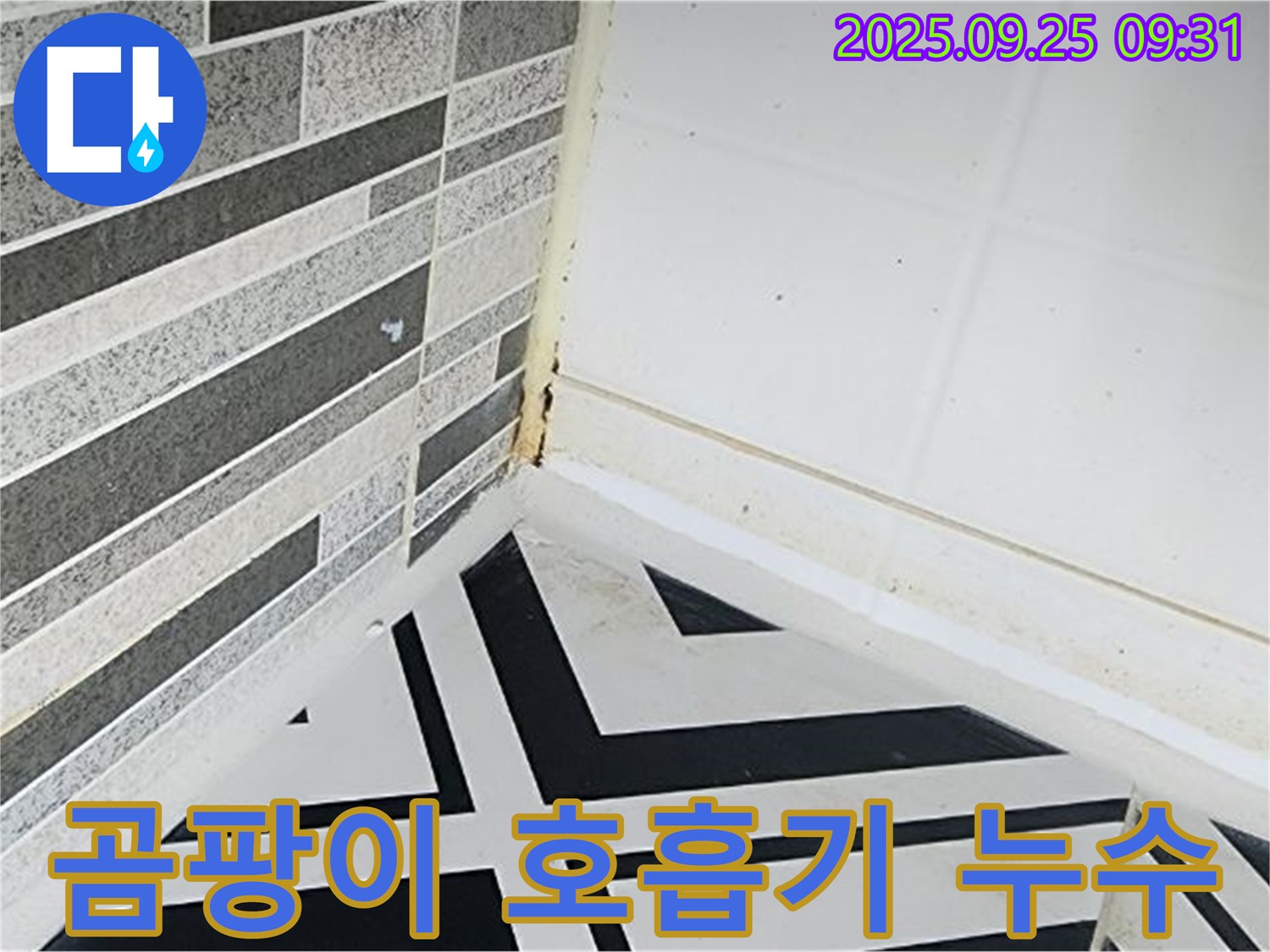 양주시 백석읍 오산리 - 곰팡이가 가득한 욕실 - 호흡기 질환 유발 가능성 경고