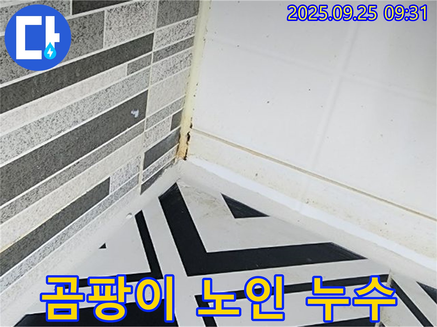 양주시 백석읍 오산리 - 곰팡이가 있는 욕실에서 노인이 생활하는 모습 - 노인 건강에 악영향을 미칠 수 있음