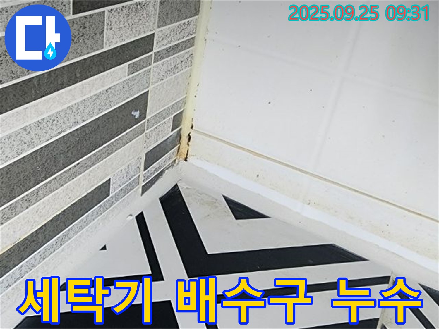 양주시 백석읍 오산리 - 다용도실 세탁기 배수구에서 누수가 발생하여 곰팡이가 번식하는 모습입니다.