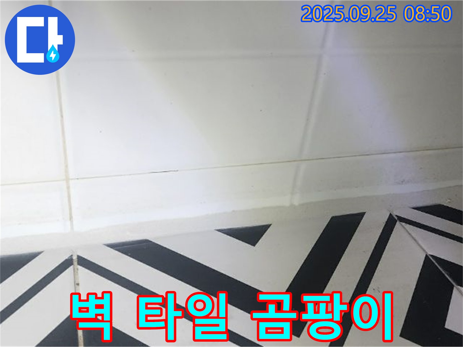 양주시 백석읍 오산리 벽 타일 곰팡이 누수 - 누수탐지 전문가의 손길로 완벽 해결!