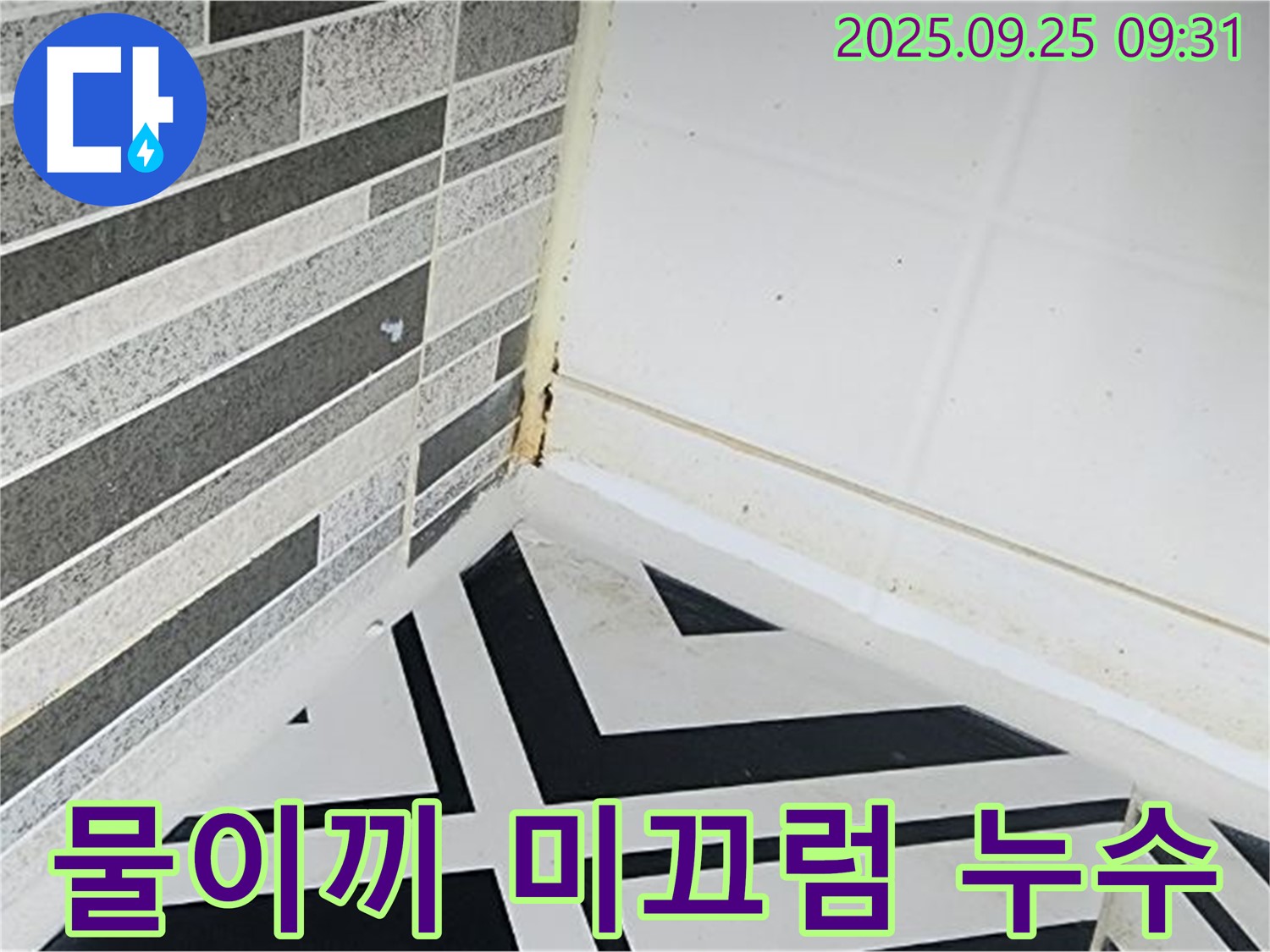양주시 백석읍 오산리 - 욕실 타일 틈새에 물이끼가 낀 모습 - 미끄럼 사고 위험을 경고