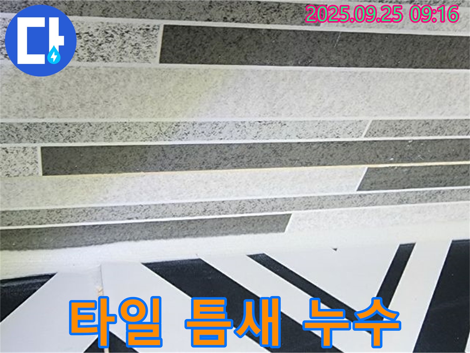 양주시 백석읍 오산리 타일 틈새 누수 - 꼼꼼한 점검으로 찾아낸 숨겨진 누수 원인.