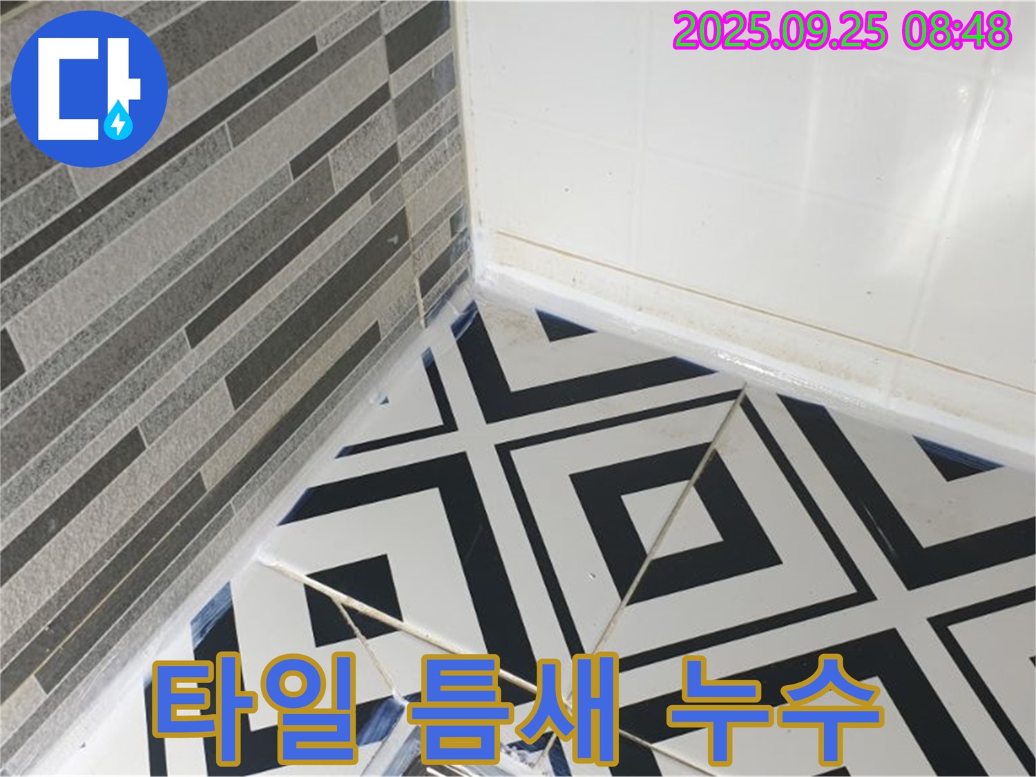 양주시 백석읍에서 발생한 타일 틈새 누수 현장입니다 - 전문 장비와 기술로 정확하게 누수 지점을 찾아 해결했습니다.