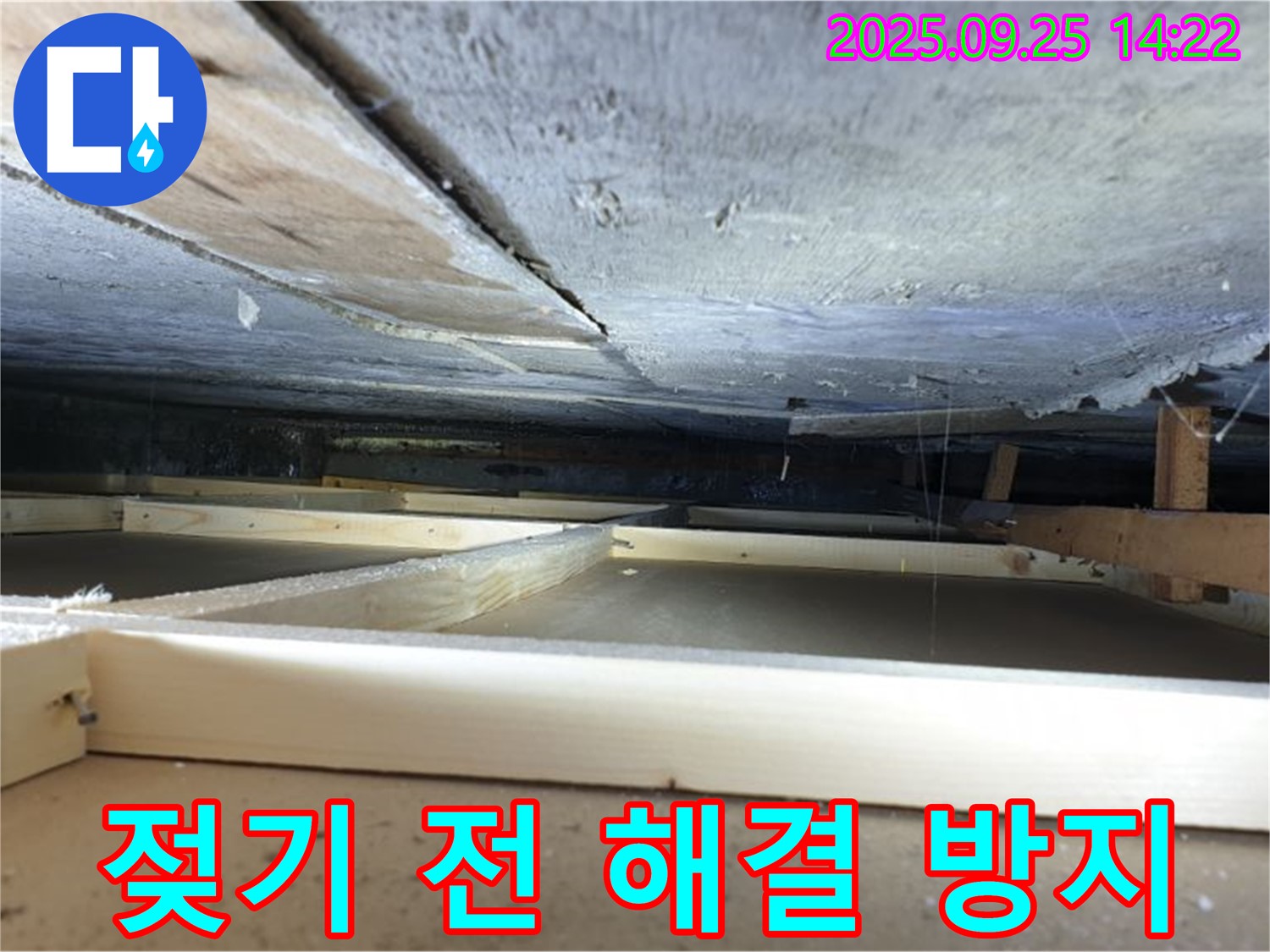 의정부 누수탐지 - 호원1동 천장 속 누수, 석고보드 젖기 전에 완벽하게 해결 및 재발 방지!