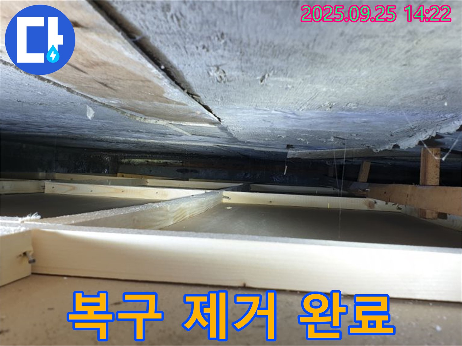 호원1동 천장 누수 - 석고보드 젖기 시작, 긴급 복구 및 누수 원인 완벽 제거 완료!