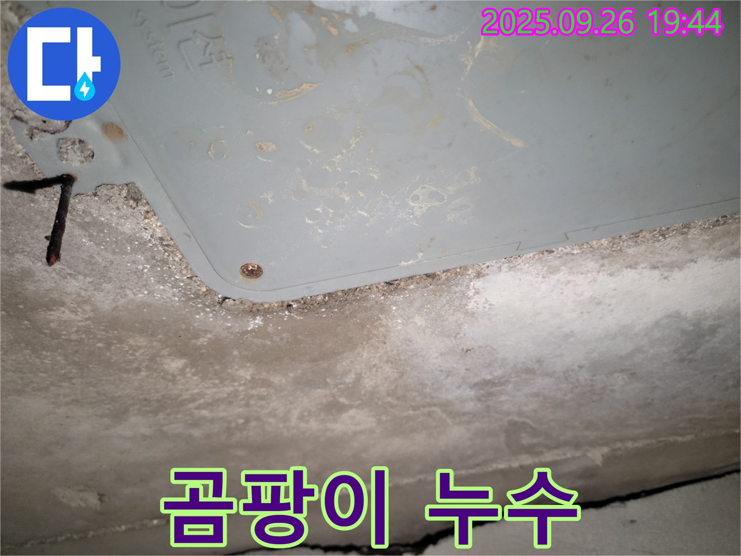 동두천 누수 - 곰팡이 냄새와 함께 시작된 천장 누수