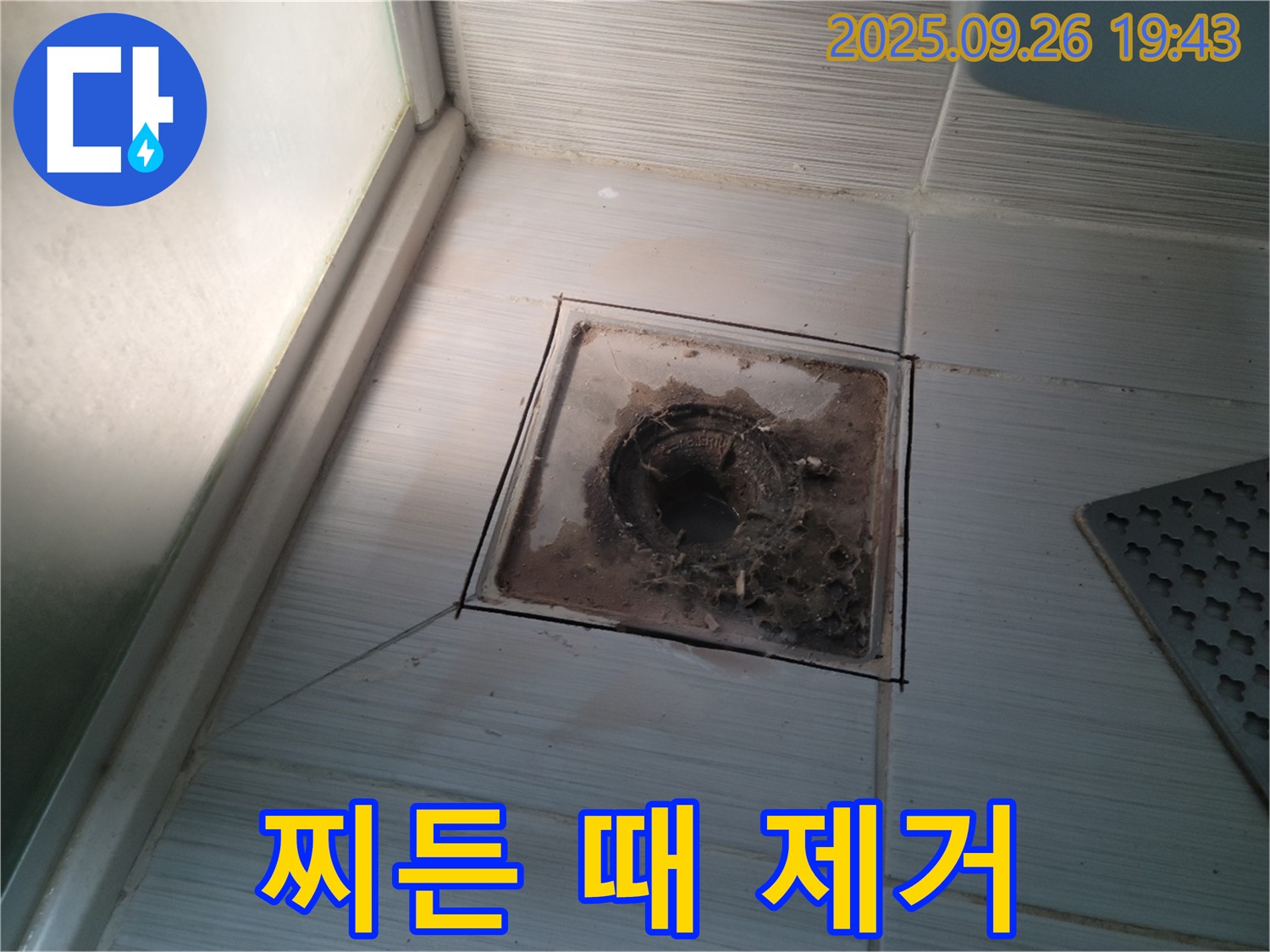 동두천 누수 전문 업체에서 욕실 배수구의 찌든 때를 속 시원하게 제거하는 모습 - 묵은 때를 벗겨내고 깨끗하게!