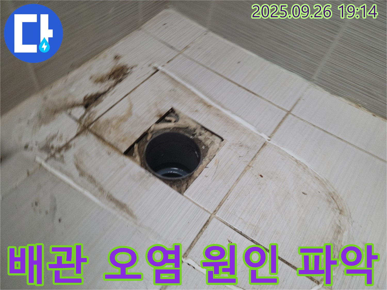 동두천 누수 탐지 - 오염된 배관 주변에서 누수 원인을 꼼꼼하게 파악하는 모습