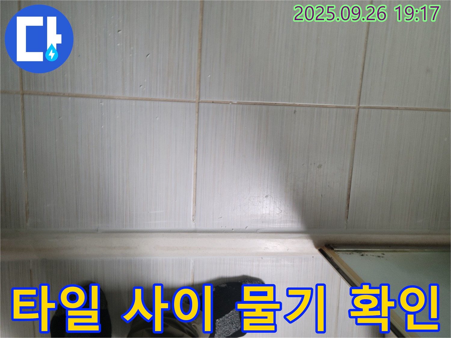 동두천 생연동 누수 - 타일 사이의 물기를 통해 누수 여부를 판단하고 있습니다.