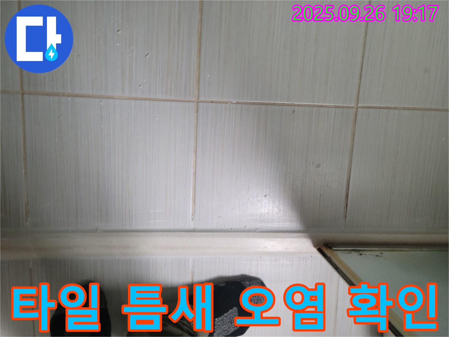 동두천 생연동 누수 - 타일 틈새의 오염 상태를 통해 누수 가능성을 확인하고 있습니다.