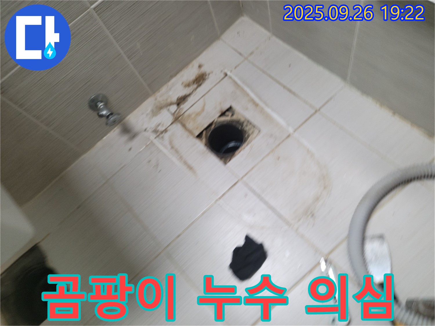 동두천 욕실 누수 - 배수구 주변 곰팡이와 누수 의심, 정밀 진단 및 해결