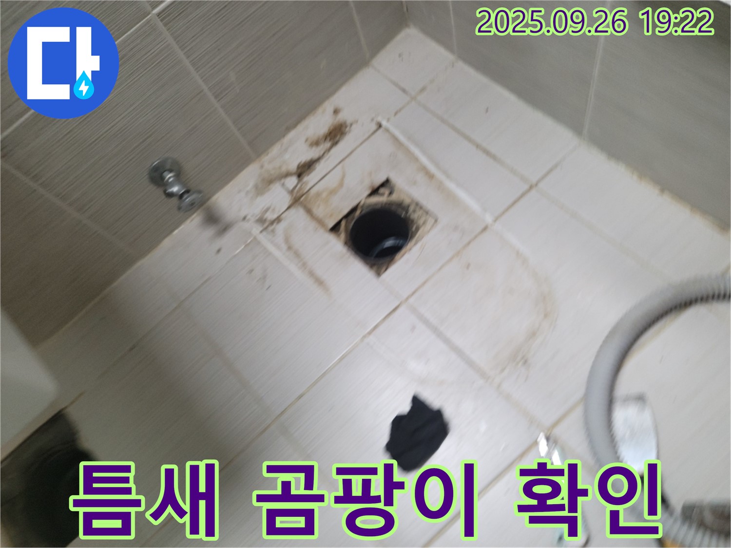 동두천 욕실 누수 - 배수구 주변 타일 틈새 곰팡이, 누수 신호 여부 확인