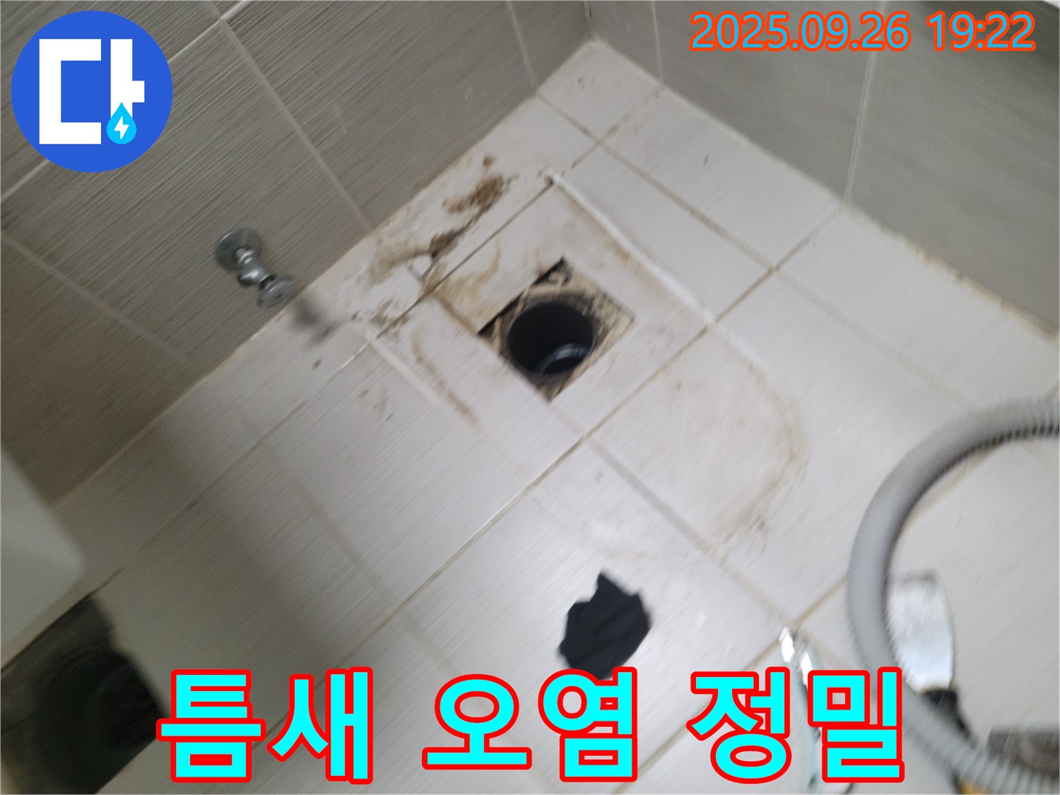 동두천 욕실 누수 - 배수구 주변 타일 틈새 오염, 누수 신호 여부 정밀하게 점검