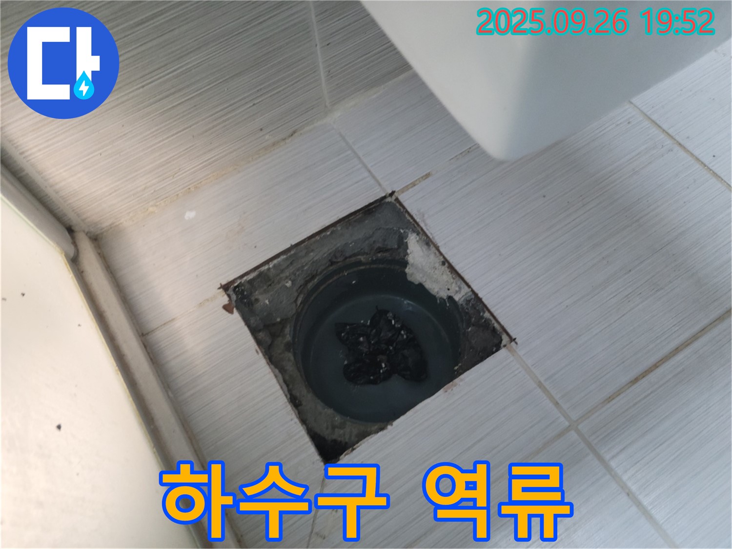동두천시 송내동 누수 - 변기 옆 하수구 검은 찌꺼기 역류