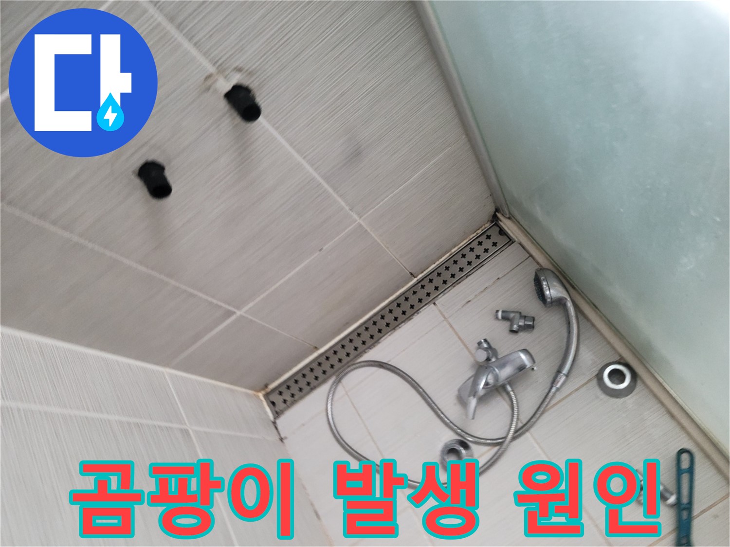 동두천시 송내동 샤워기 주변 곰팡이 발생 원인 분석 - 곰팡이는 누수의 신호