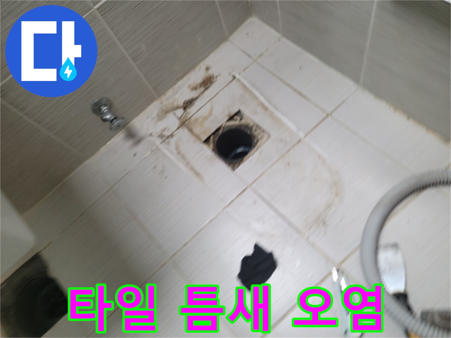 동두천시 송정동 - 욕실 하수구 주변 타일 틈새 오염 - 누수 의심