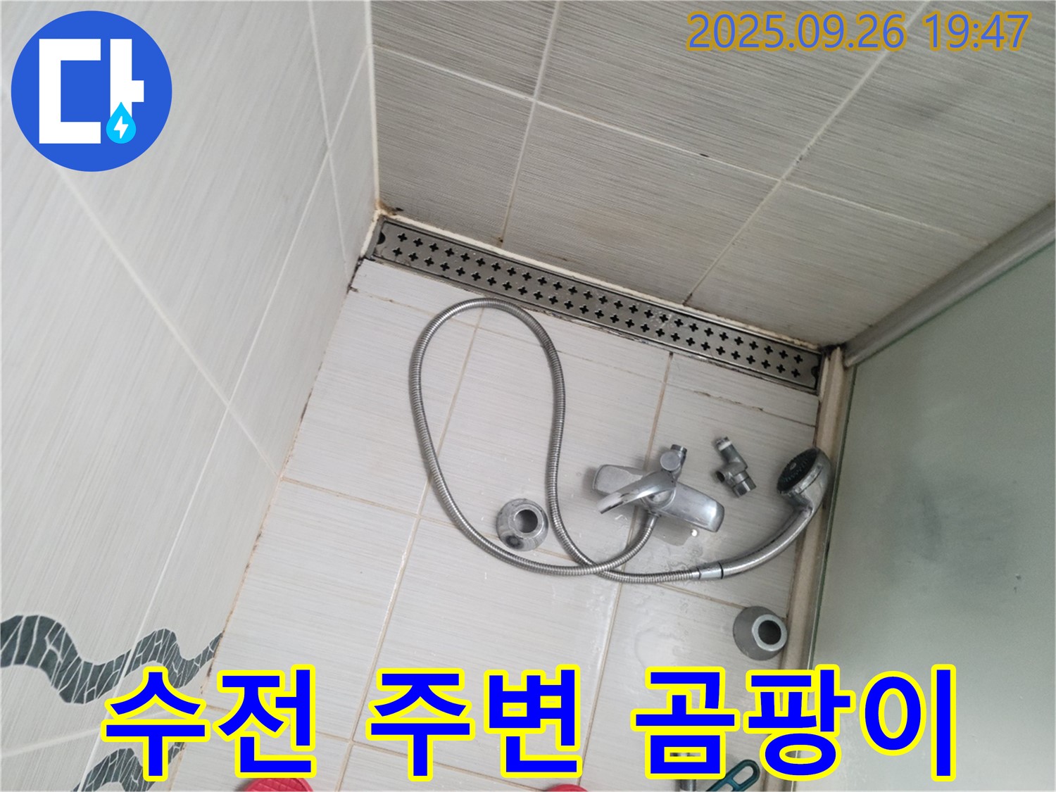 동두천시 중앙동 누수 - 샤워기 수전 주변에 곰팡이가 발생한 것을 보여줍니다.