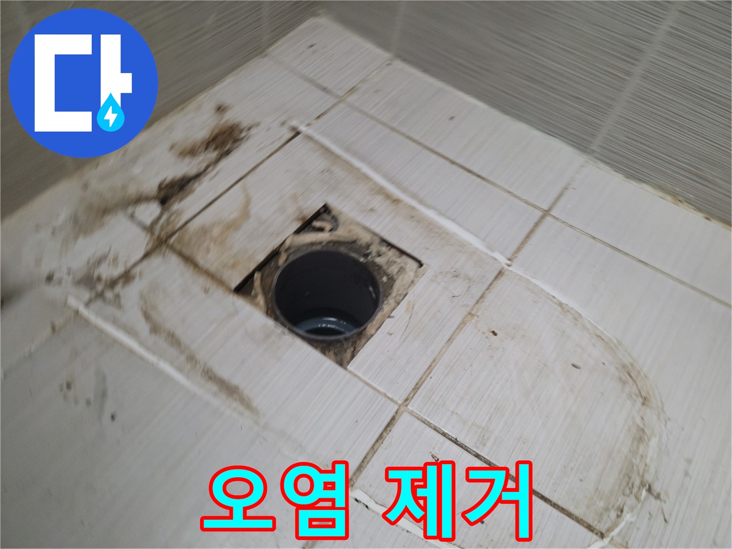 배수구 주변 - 곰팡이 및 오염 제거
