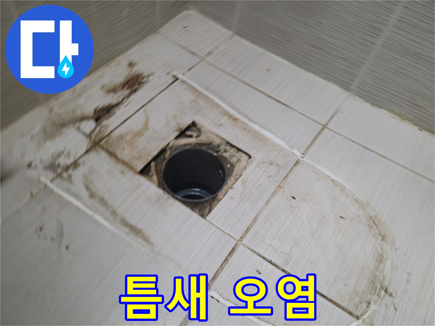 배수구 주변 - 타일 틈새 심각한 오염