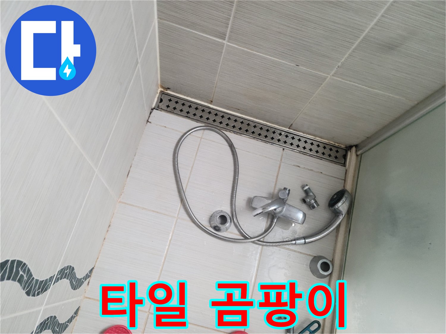 샤워기 수전 주변 타일 곰팡이 심각 - 건강 위협