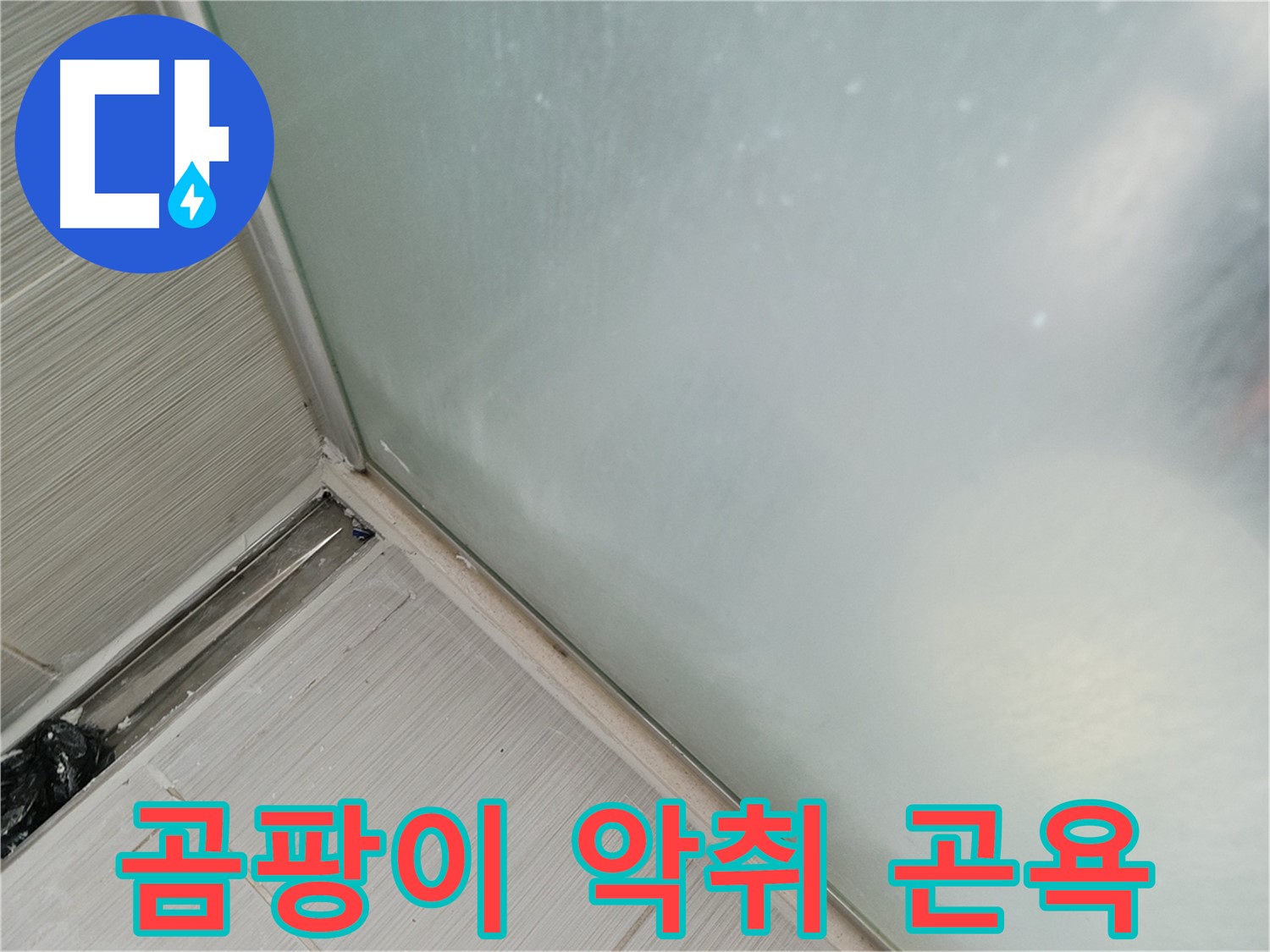 샤워부스 누수 - 곰팡이 - 악취 - 곤욕