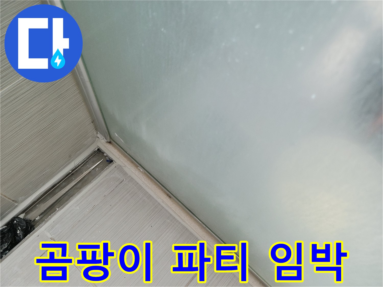 샤워부스 누수 - 곰팡이 파티 - 실리콘 들뜸