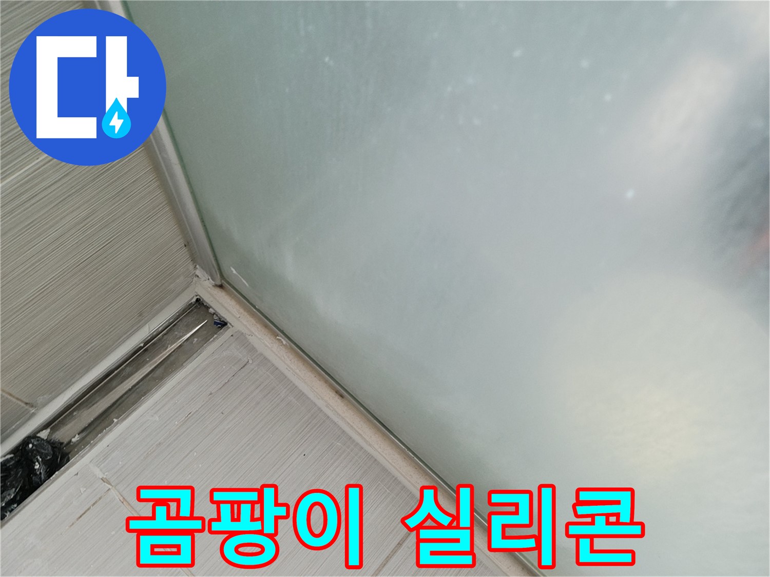 샤워부스 누수 - 곰팡이 핀 실리콘 - 건강 위협