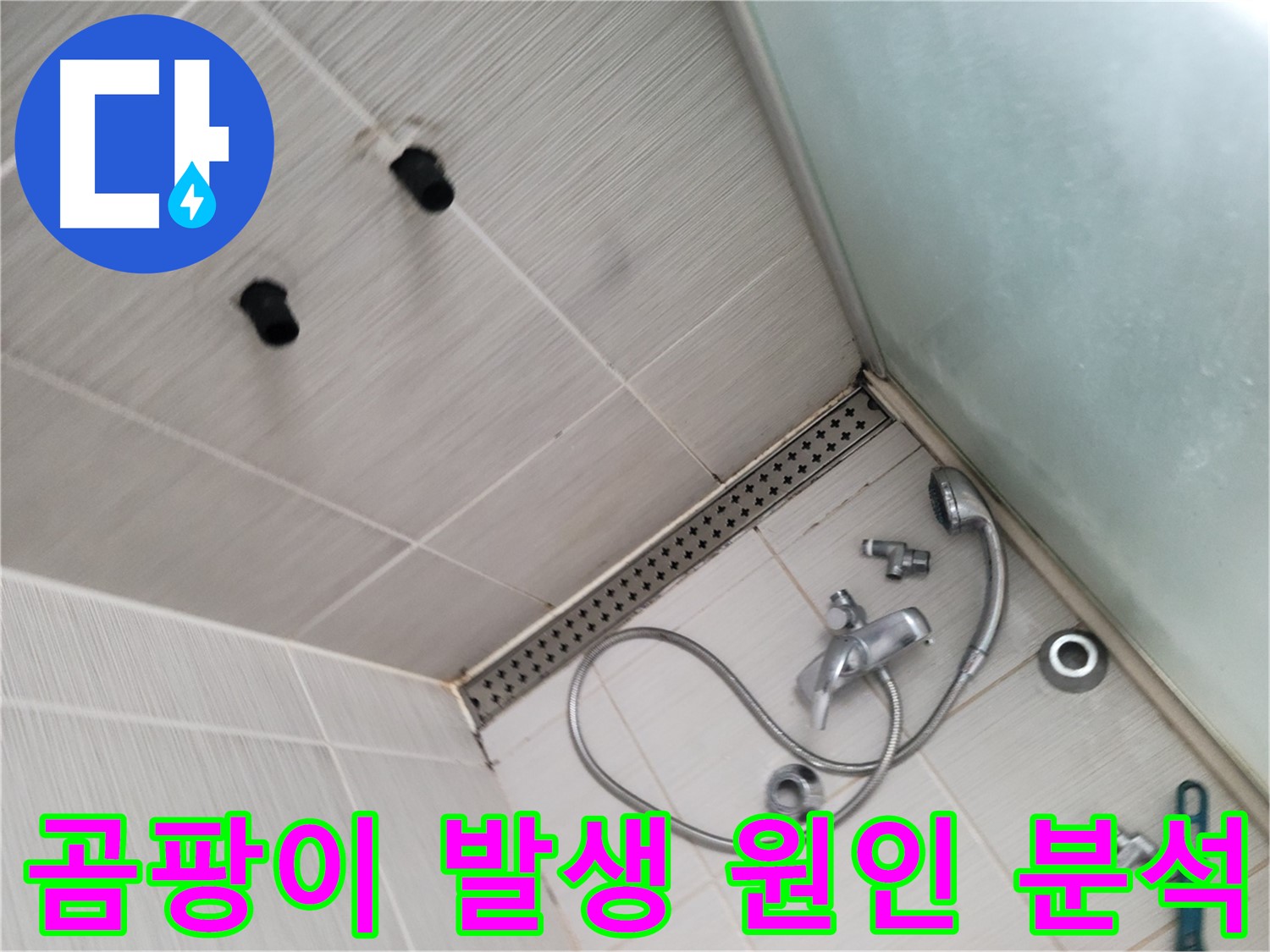 신창비바패밀리 샤워기 주변 곰팡이 발생 원인 정밀 분석 - 곰팡이는 누수의 신호