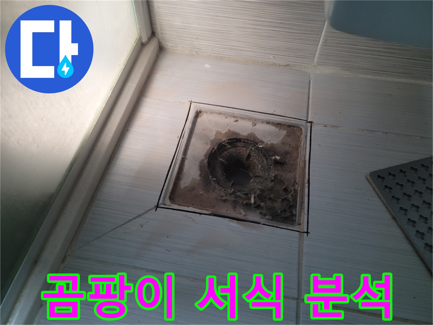 신창비바패밀리 욕실 배수구 - 곰팡이 서식 환경 집중 분석!