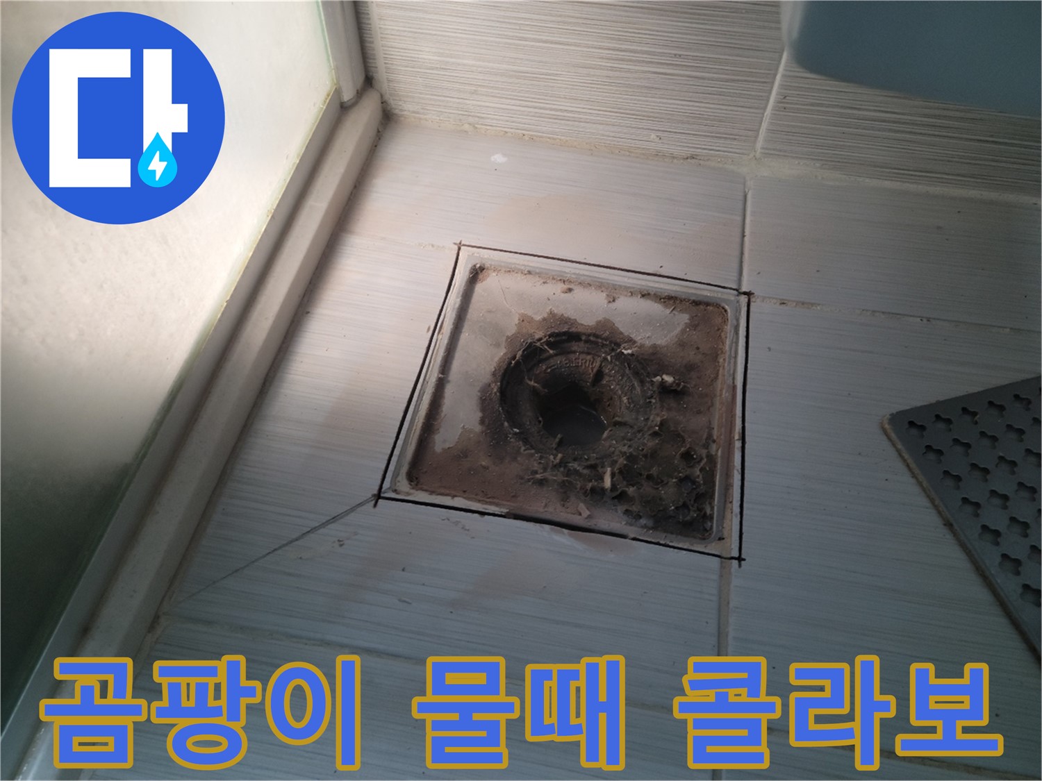 신창비바패밀리 욕실 배수구 - 곰팡이와 물때의 콜라보!