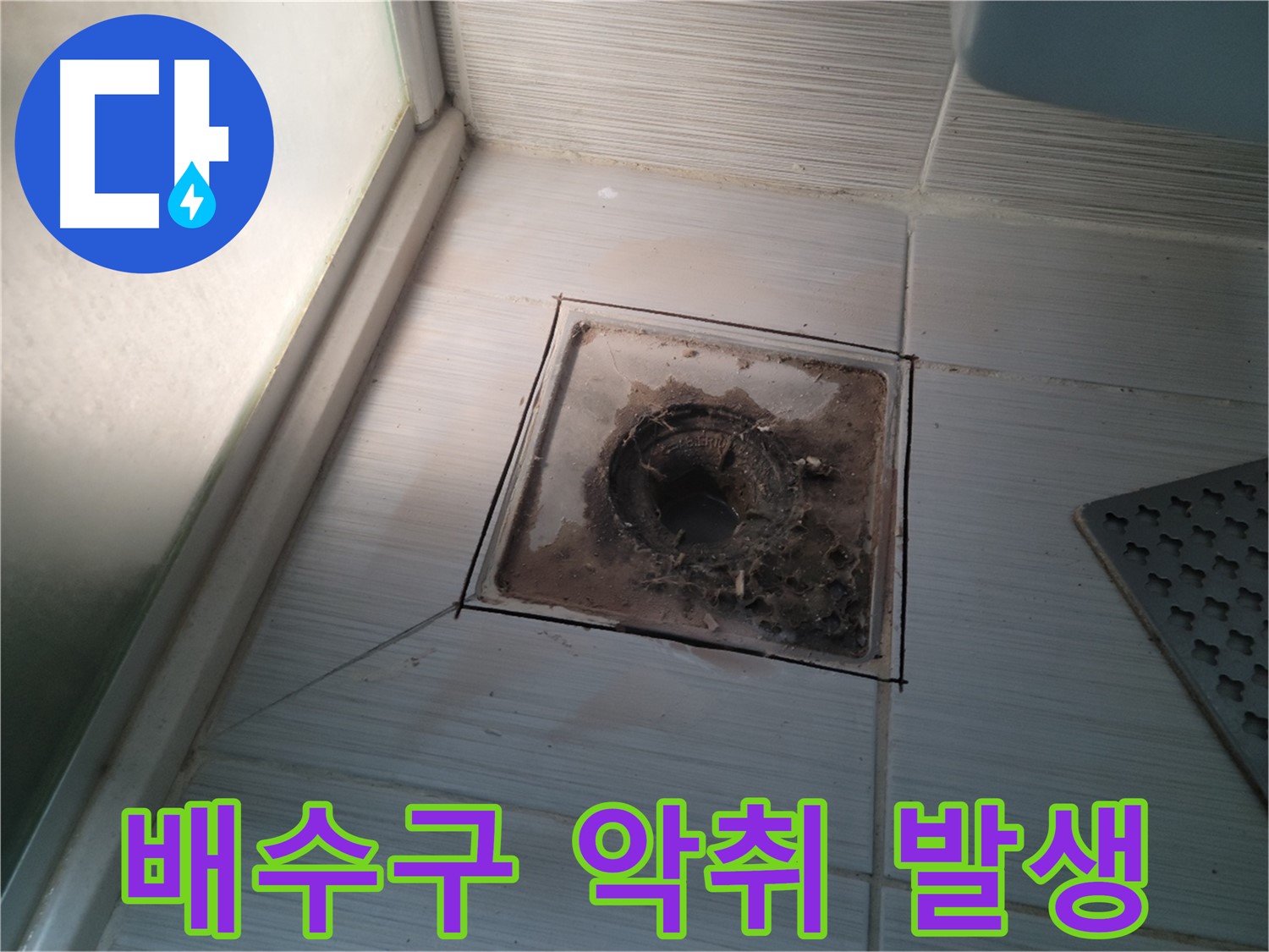 신창비바패밀리 욕실 배수구 - 악취 발생, 누수 적신호!