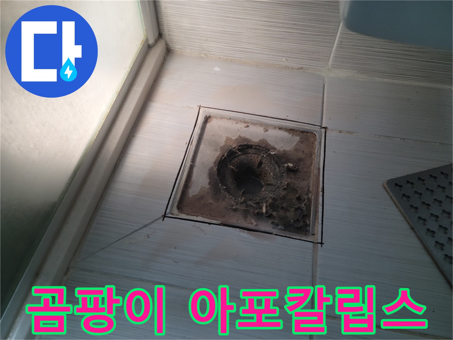 신창비바패밀리 욕실 배수구 주변 - 곰팡이 아포칼립스 발생!