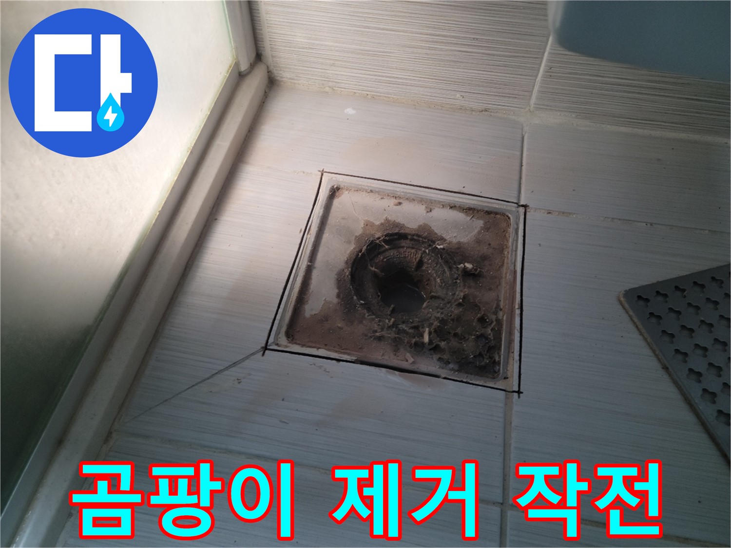 신창비바패밀리 욕실 배수구 주변 - 곰팡이 완벽 제거 작전!